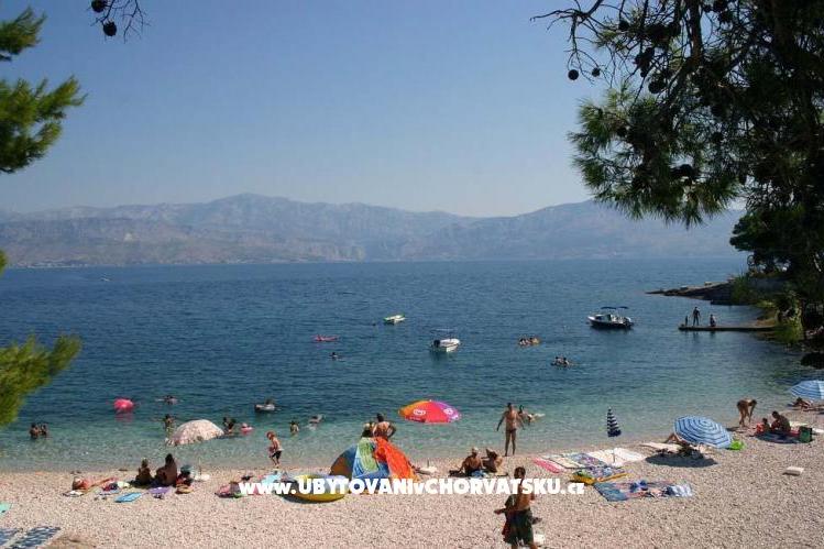 Apartamenty Mala Lozna  – foto 8