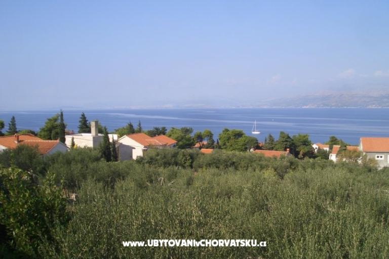Apartamenty Marino – foto 5