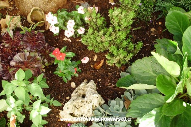 Apartamenty Petranic – foto 15