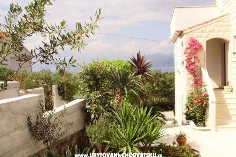 Apartamenty Petranic – foto 16