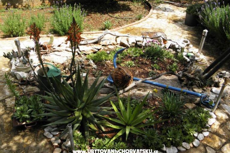 Dom wakacyjny Ivana – foto 17