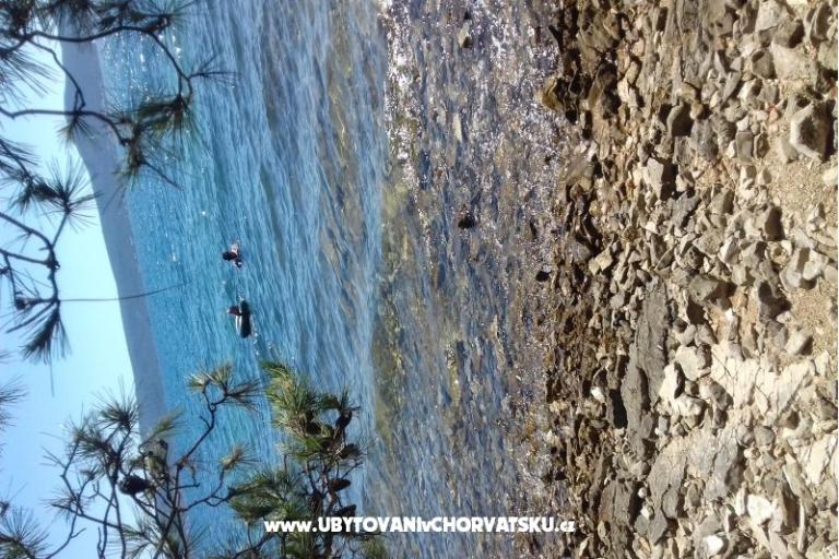 Apartamenty Ira – foto 10