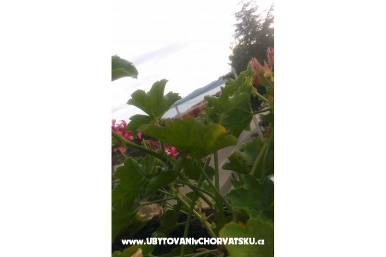 Apartamenty Ira – foto 11