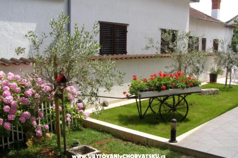 Apartamenty Roviš – foto 7
