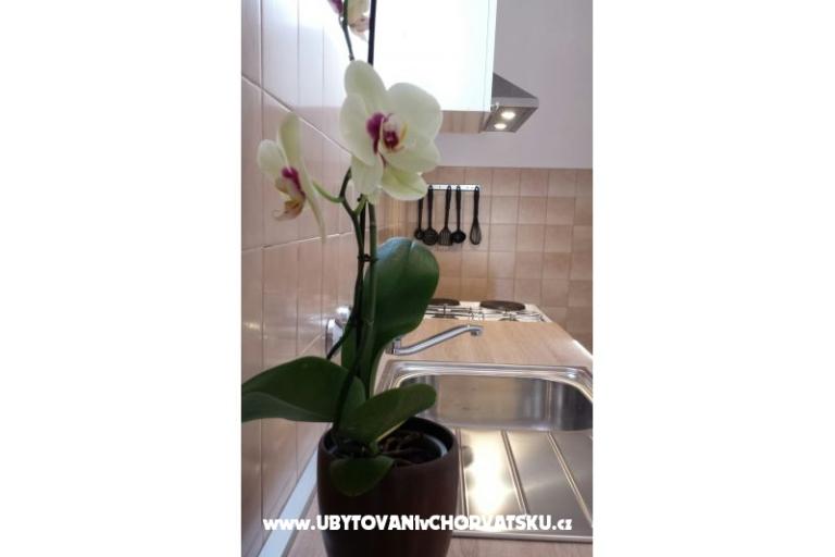 Apartamenty Mara – foto 12