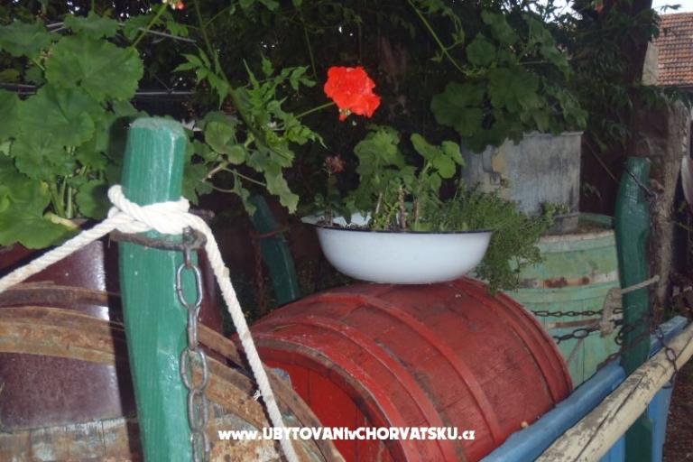 Apartamenty Mara – foto 17