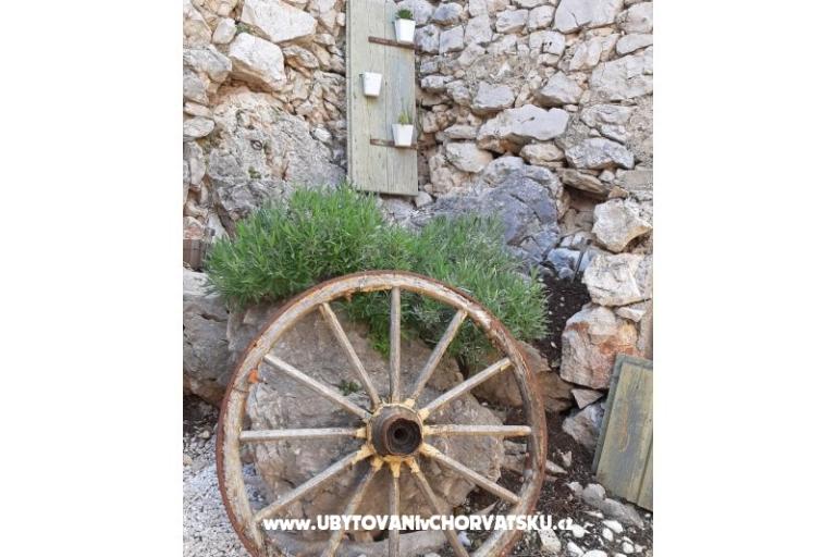 Apartament - kamena kuća  Šparoga – foto 19