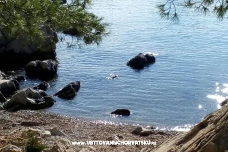 Apartament - kamena kuća  Šparoga – foto 7