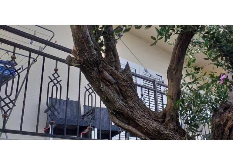 Apartament Monika – foto 17