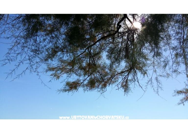 Apartament Rita – foto 8