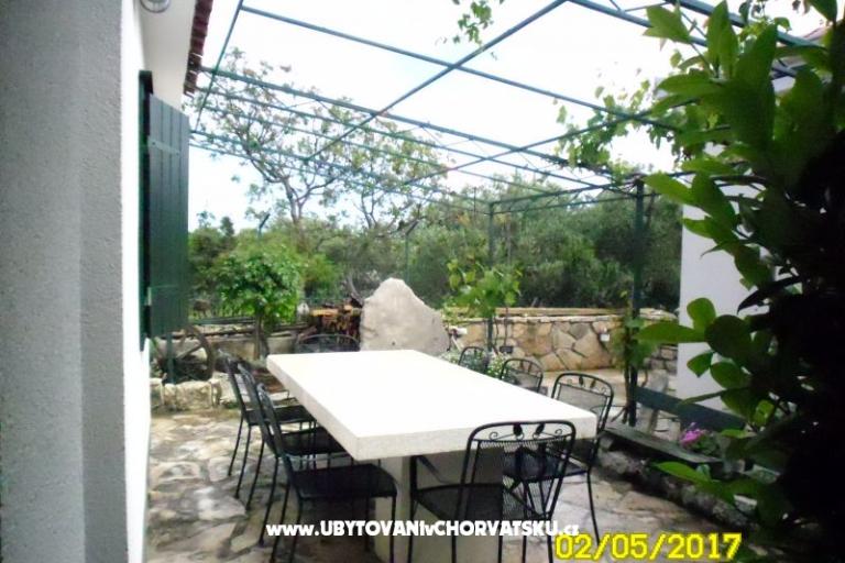 Apartament Tone – foto 6