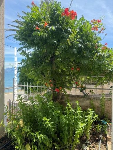 Apartamenty Adria – foto 20