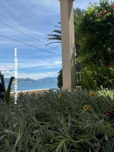 Apartamenty Adria – foto 22