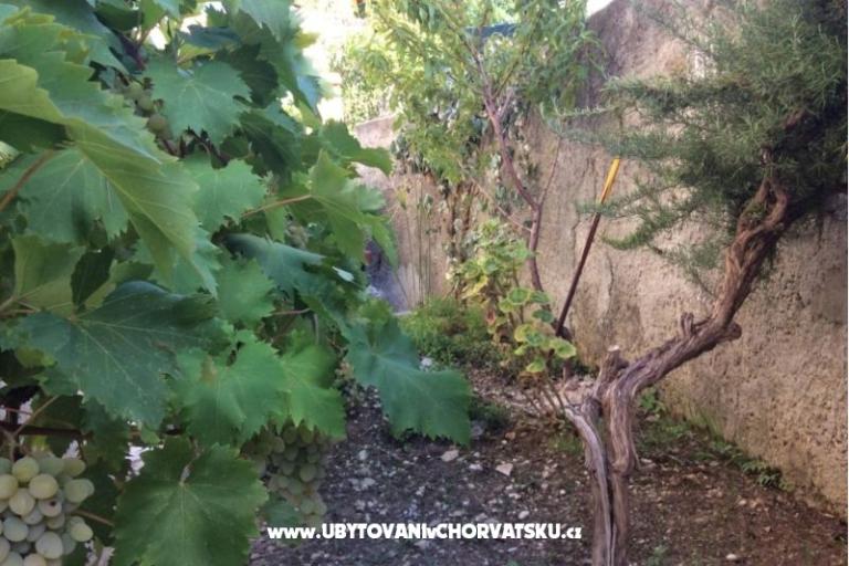 Apartamenty Adria – foto 5