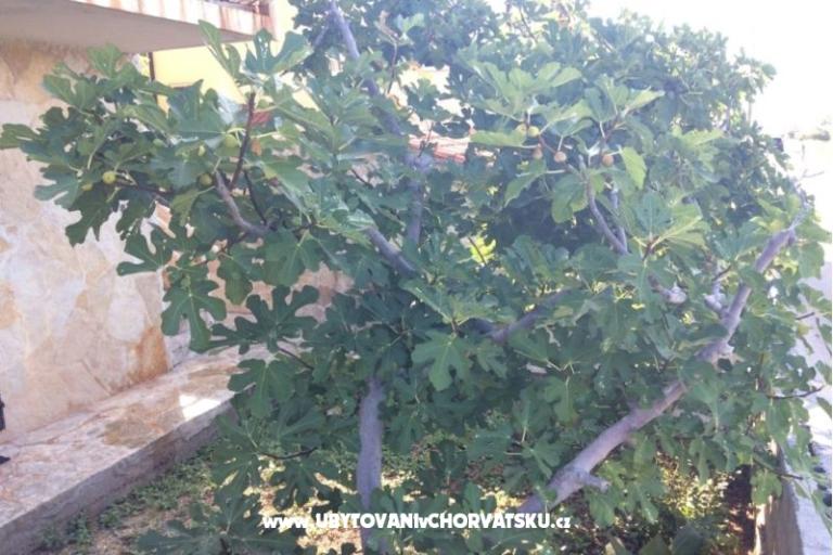 Apartamenty Adria – foto 6