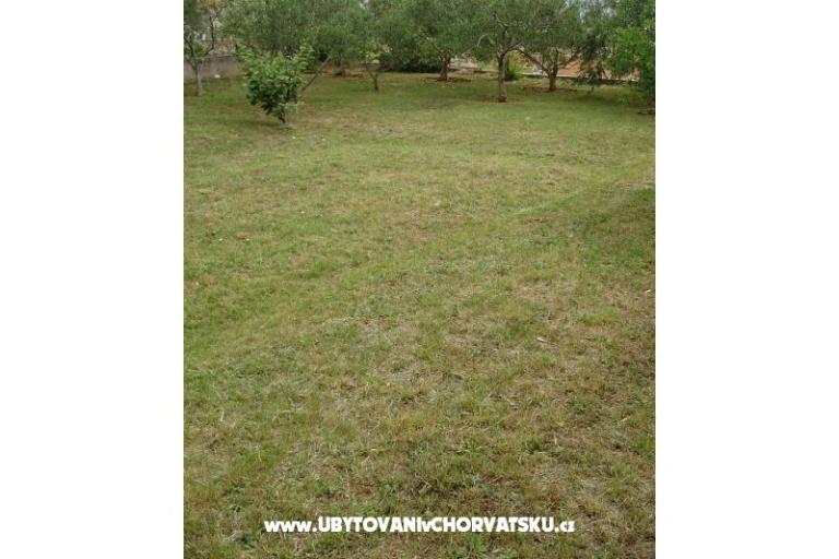 Apartamenty Anita – foto 5