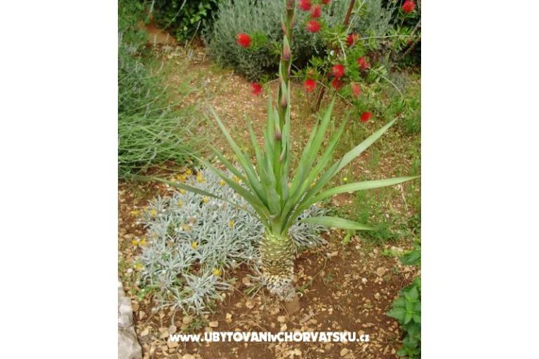 Apartamenty Anita – foto 6