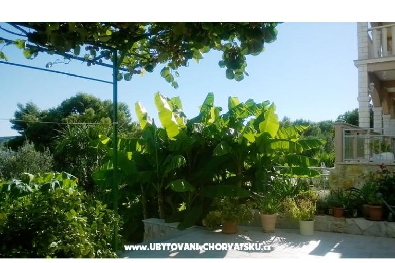 Apartamenty Anka Marin – foto 8