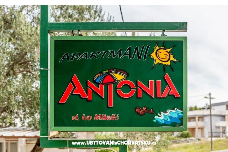 Apartamenty Antonia – foto 18