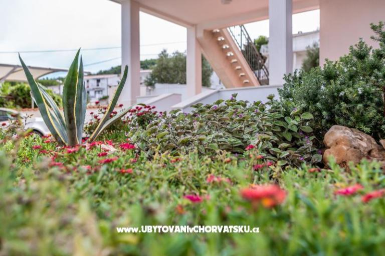 Apartamenty Antonia – foto 6