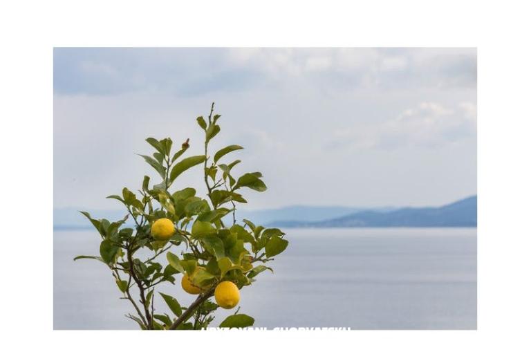 Apartamenty Babaja – foto 8