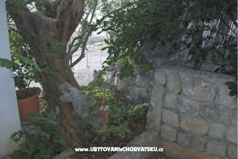 Apartamenty Boa  – foto 16