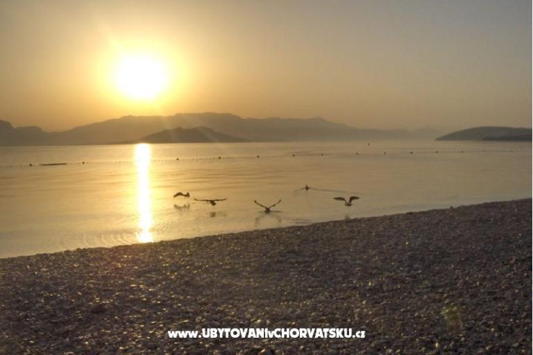 Apartamenty Boa  – foto 5