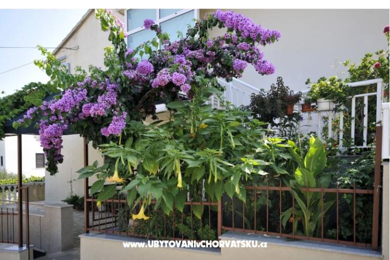 Apartamenty Borna – foto 18