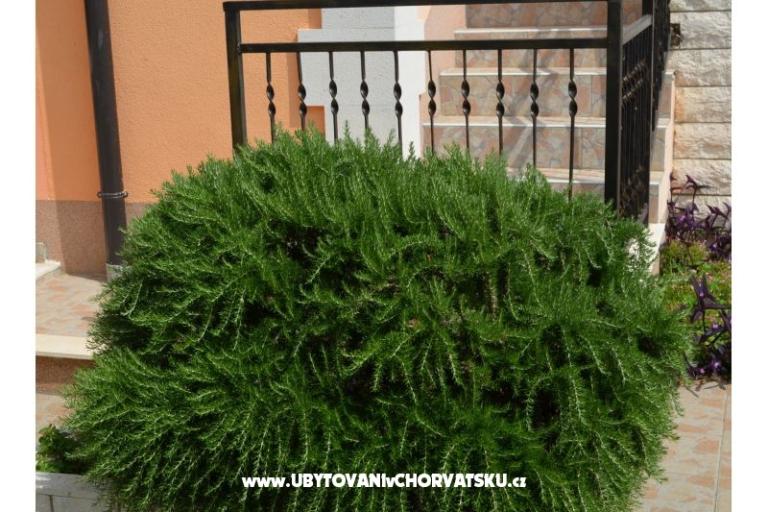 Apartamenty Brksi  – foto 14