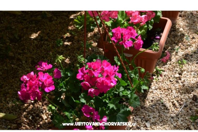 Apartamenty Brksi  – foto 15