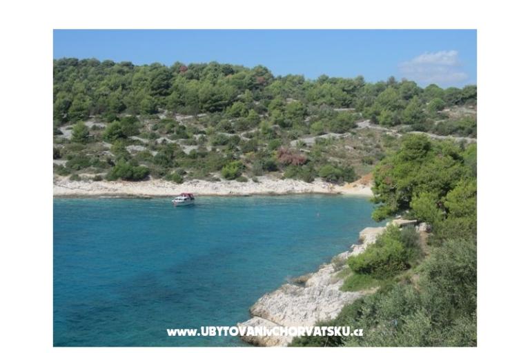 Apartamenty Franka – foto 13