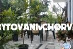 Apartamenty Gardijan – foto 8