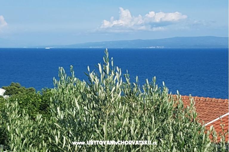 Apartamenty Ivan Okrug Gornji – foto 21