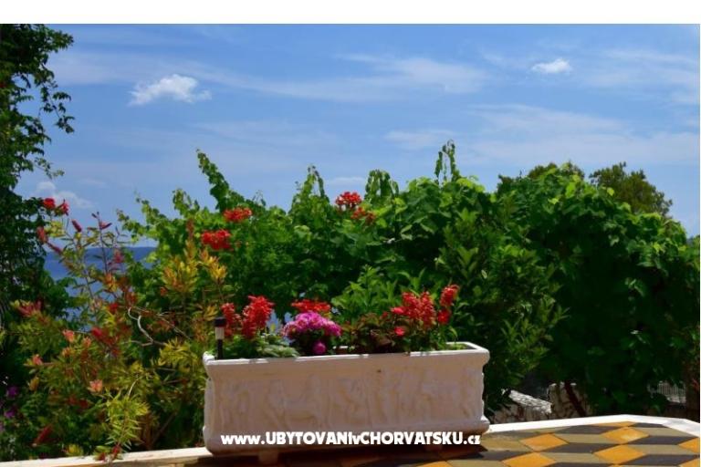 Apartamenty Ivan Okrug Gornji – foto 6