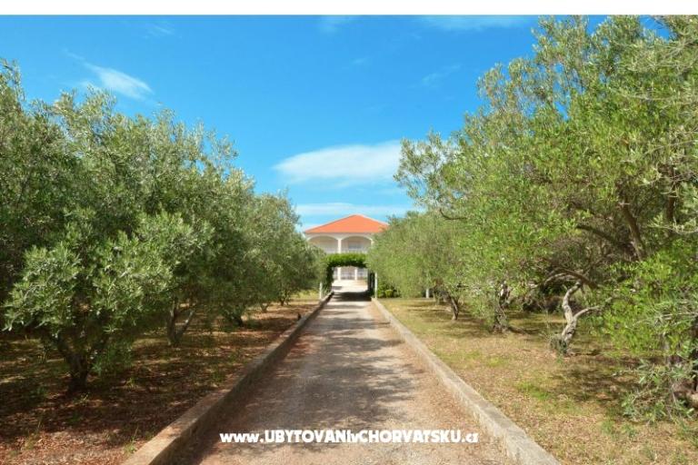 Apartamenty Lukas – foto 11