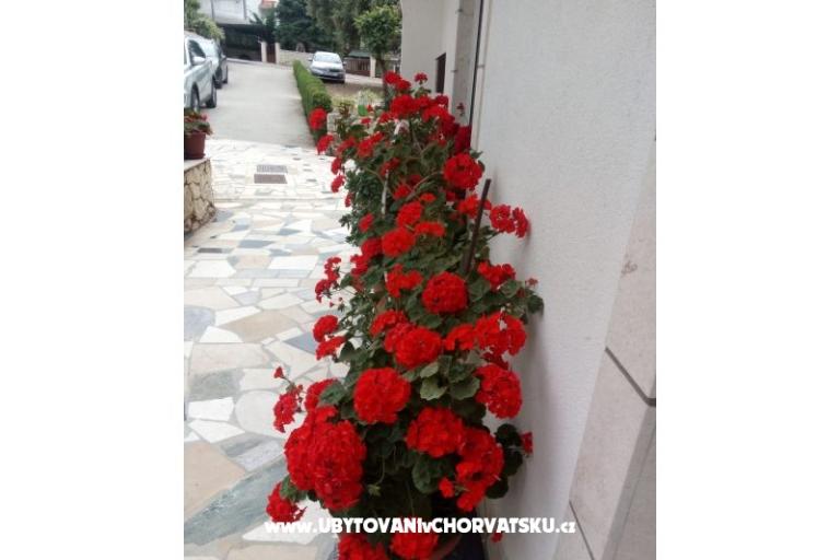 Apartamenty Malic – foto 10