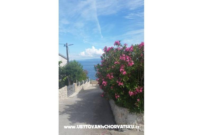 Apartamenty Malic – foto 6