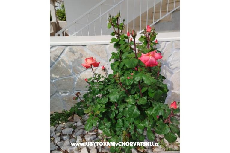 Apartamenty Marin – foto 8