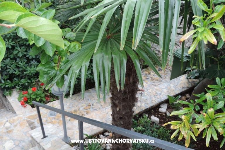 Apartamenty Natasa – foto 16