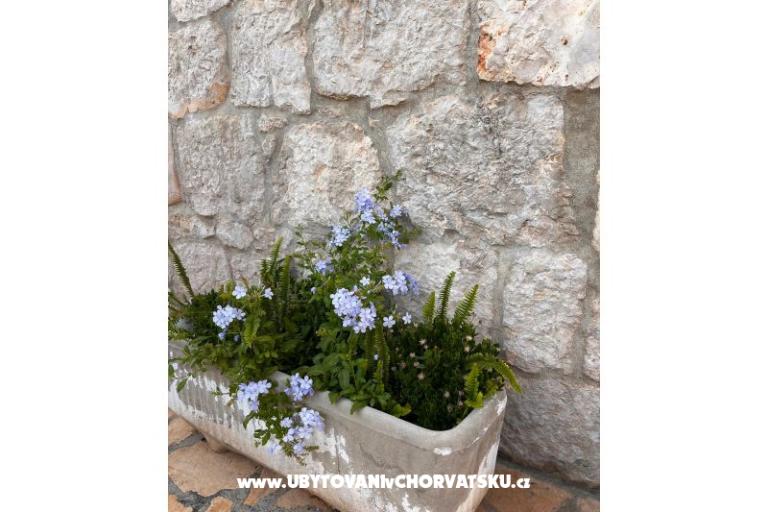 Apartamenty Tri palme – foto 18