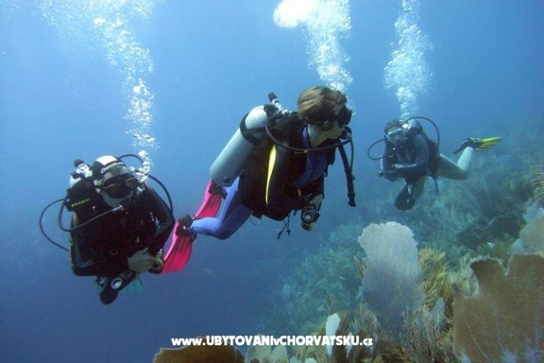 Apartamenty Vladić – foto 18