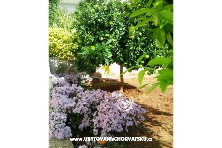 Apartamenty Zubak – foto 3