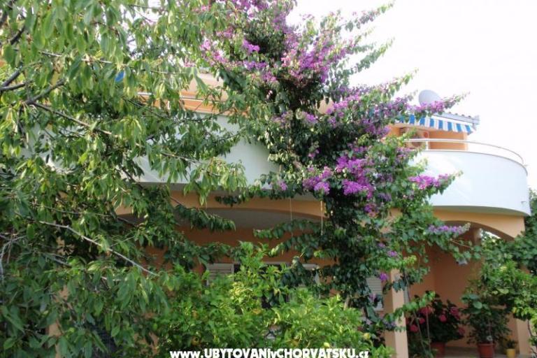 Apartamenty Bijelić – foto 12