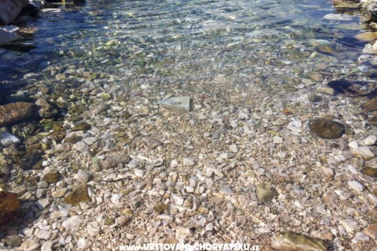 Apartament Misevac – foto 14