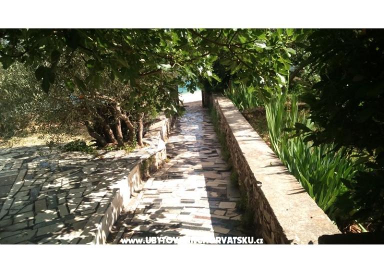 Apartamenty Jauca – foto 9