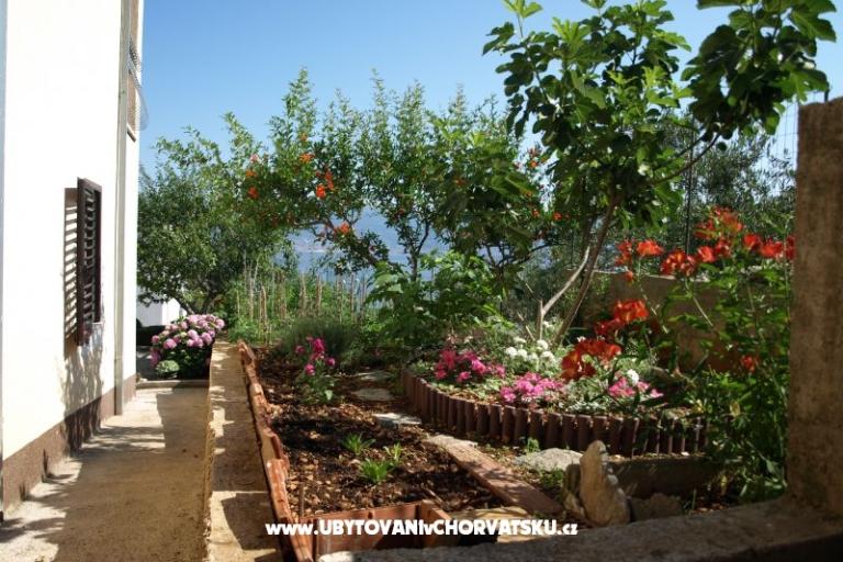 Apartamenty Ljilja – foto 13