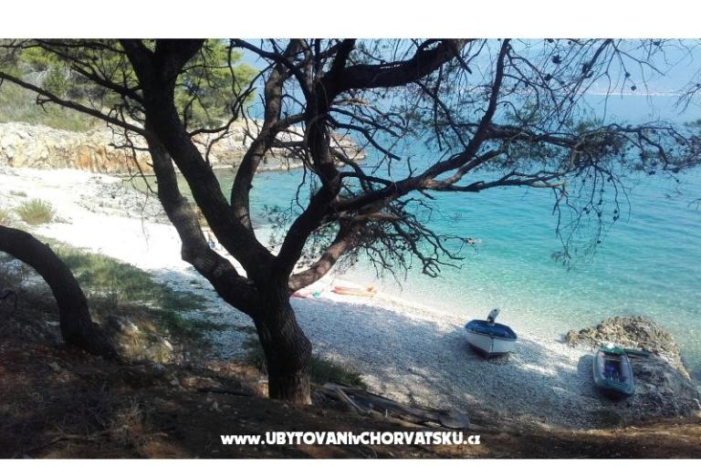 Apartamenty Ljilja – foto 17