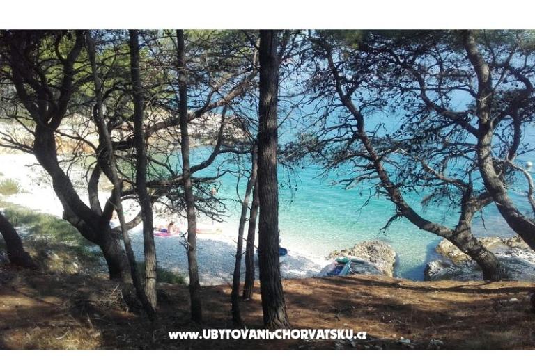 Apartamenty Ljilja – foto 8