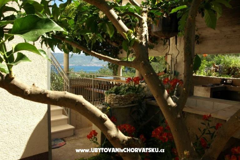 Apartamenty Ljilja – foto 9