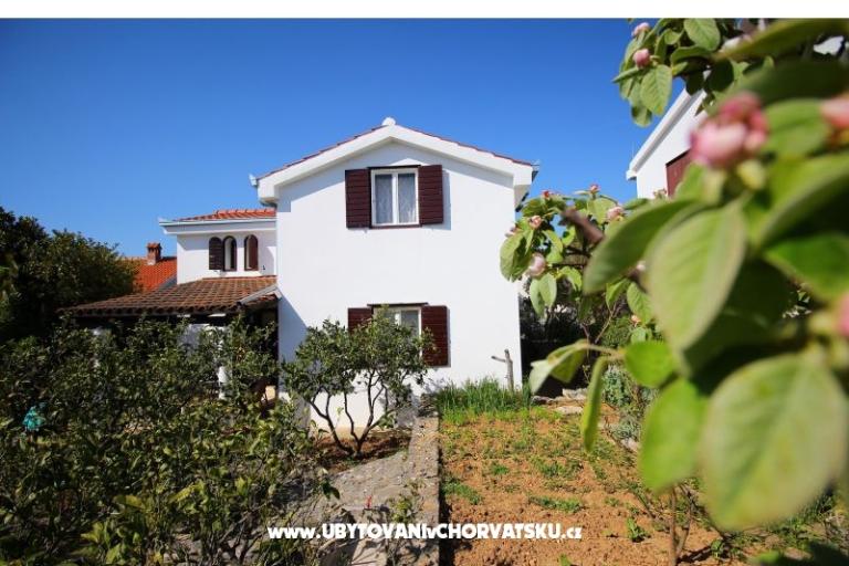 Apartamenty NIKA – foto 4
